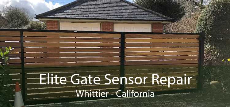 Elite Gate Sensor Repair Whittier - California