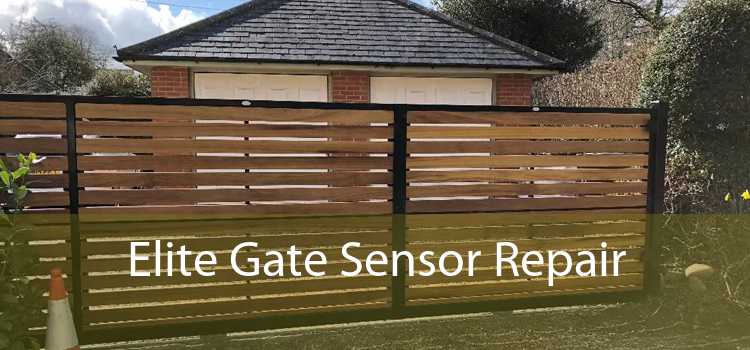 Elite Gate Sensor Repair 