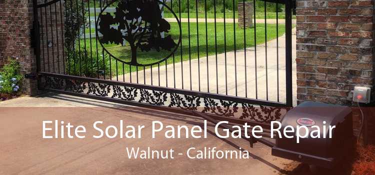 Elite Solar Panel Gate Repair Walnut - California